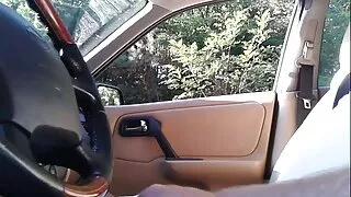 Sihvakas emane sile hobune hüppab boner